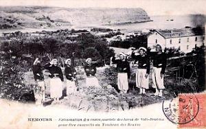 2569- Nemours - Exhumation des Braves de Sidi-Brahim - 1908